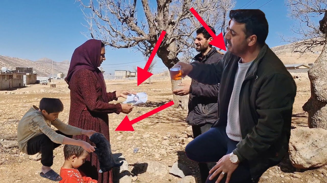 Farhad&rsquo;s Unexpected Question: What Did Elham Know About Bahman&rsquo;s Pregnant Wife?&rdquo;---