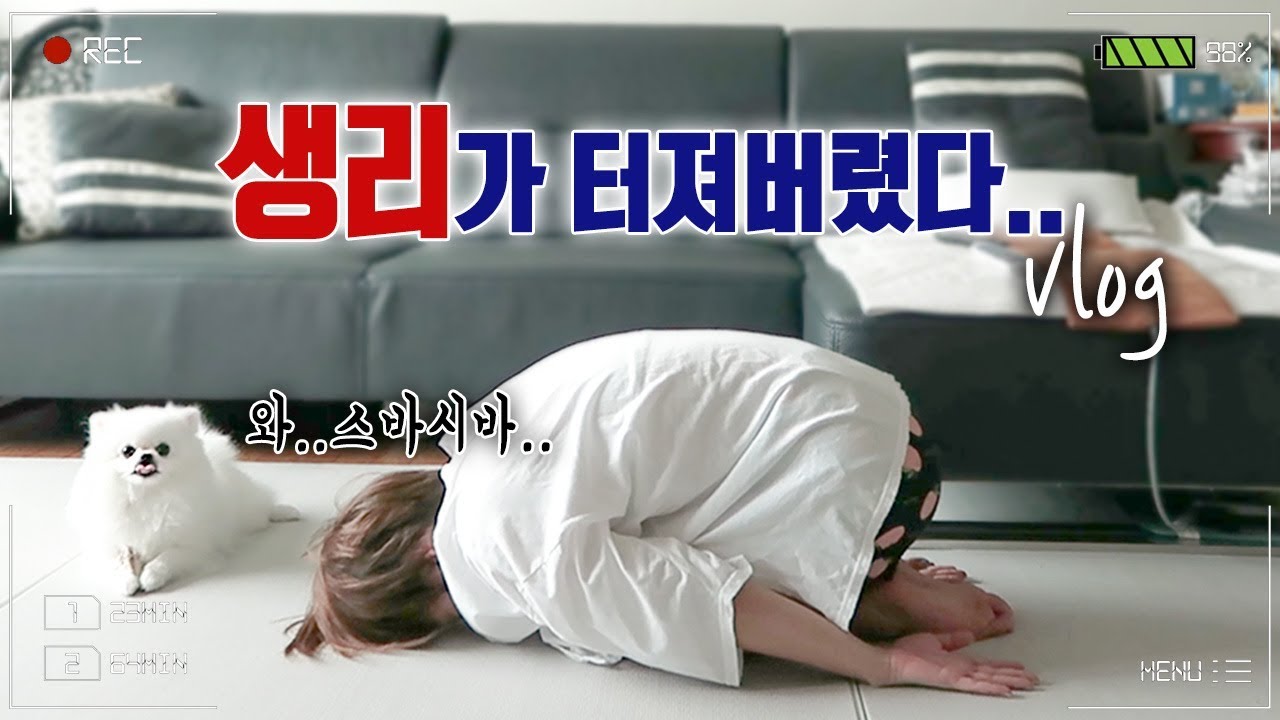 생리할때 저만 그런가요? 생리통때문에 하루종일 우울하고 짜증나는 하루 | 디바제니