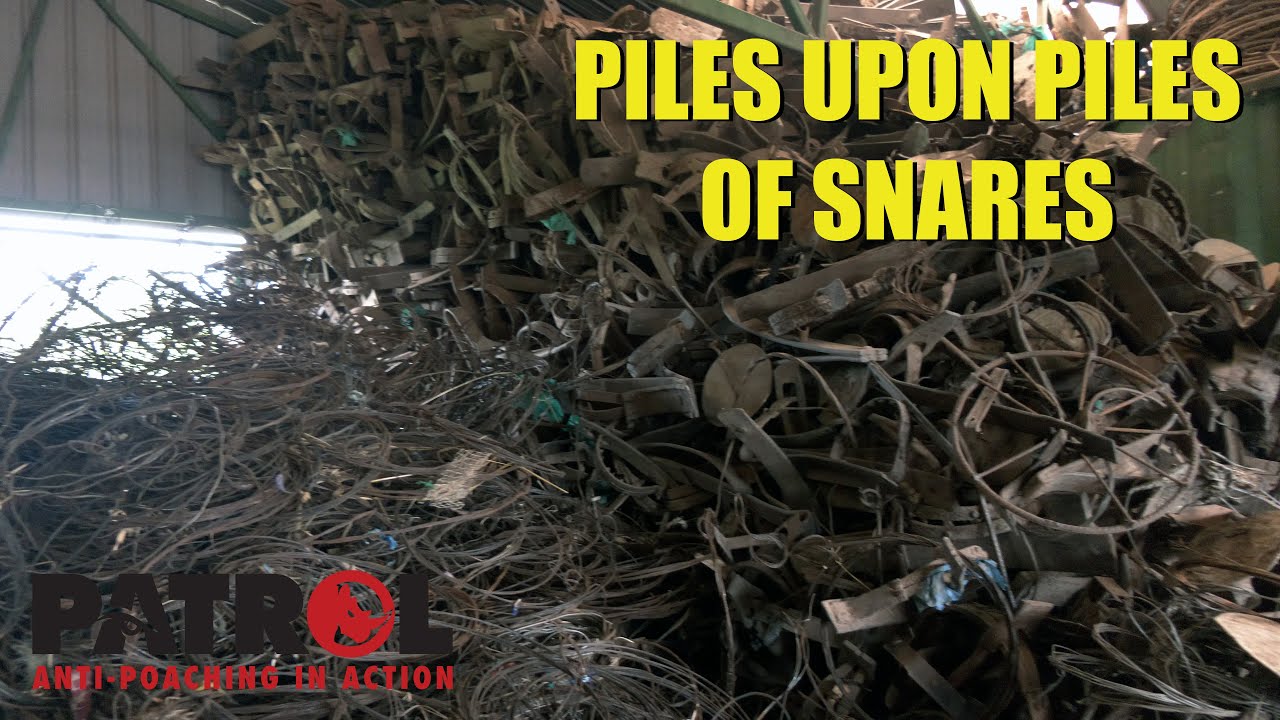 Piles Upon Piles of Snares and Traps