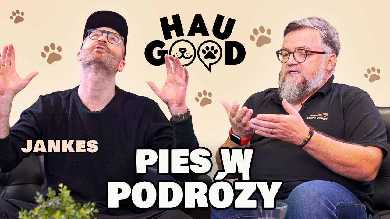Choroba lokomocyjna u ps&oacute;w? Zobacz jak przygotować się do podr&oacute;ży | HAU GOOD