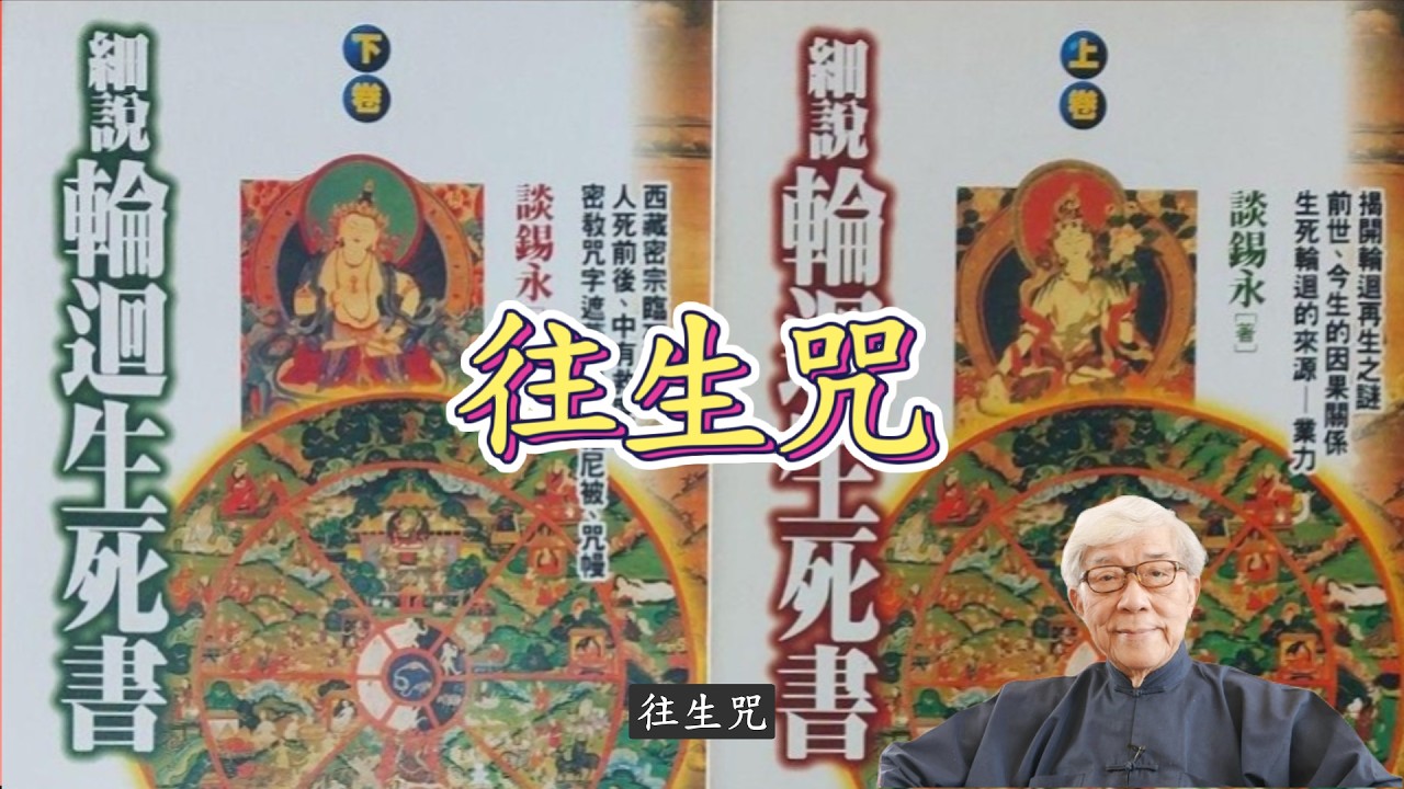 往生咒解說 #王亭之 #談錫永