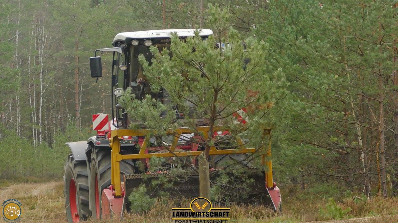 ROTER CLAAS XERION 4000 🔴 419 PS mulchen 5 Meter große Kiefern mit SEPPI M. MAXIFORST Forstmulcher