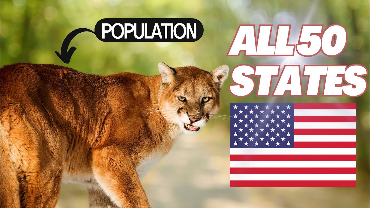 mountain lion population in each state #facts #nature #wildlife #viralvideo