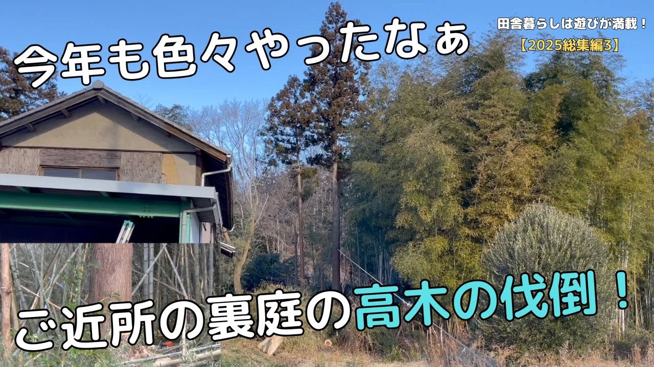 【2025総集編#3】今年もいろいろやったなあーご近所の裏庭の高木の伐倒！