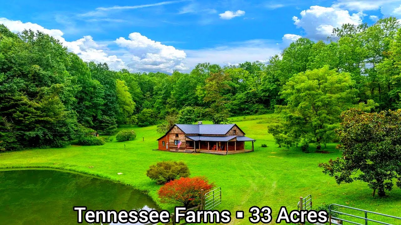 Tennessee Farmhouses For Sale | 33+ Acres | Tennessee Land For Sale | Greenville Farms Pond20