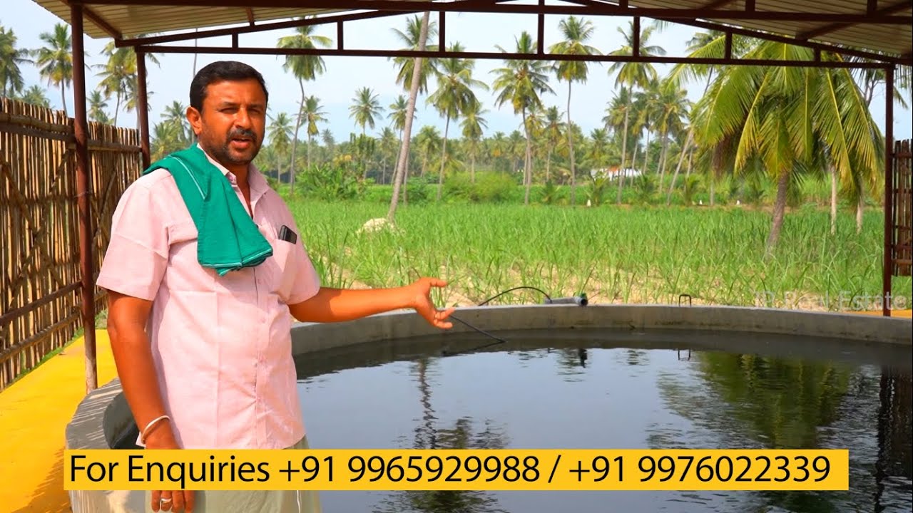 Sold Out . - இந்த இடம் விற்பனை ஆகிவிட்டது.