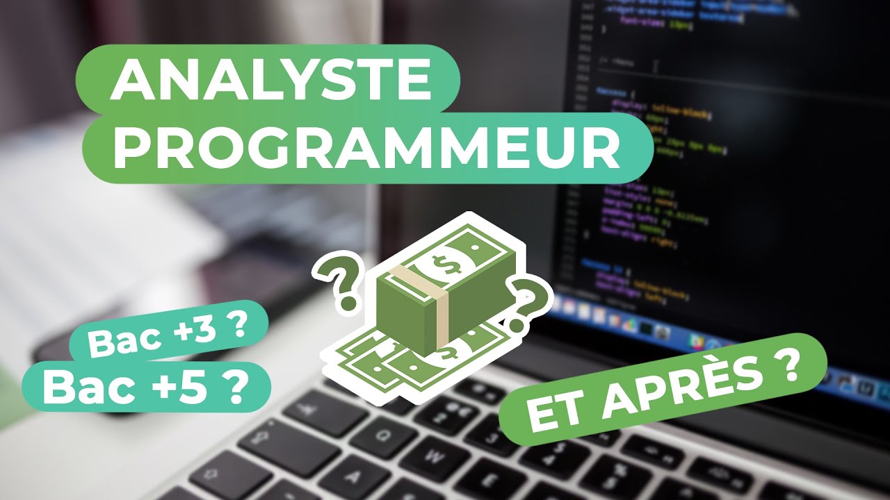 ANALYSTE PROGRAMMEUR - Présentation métier