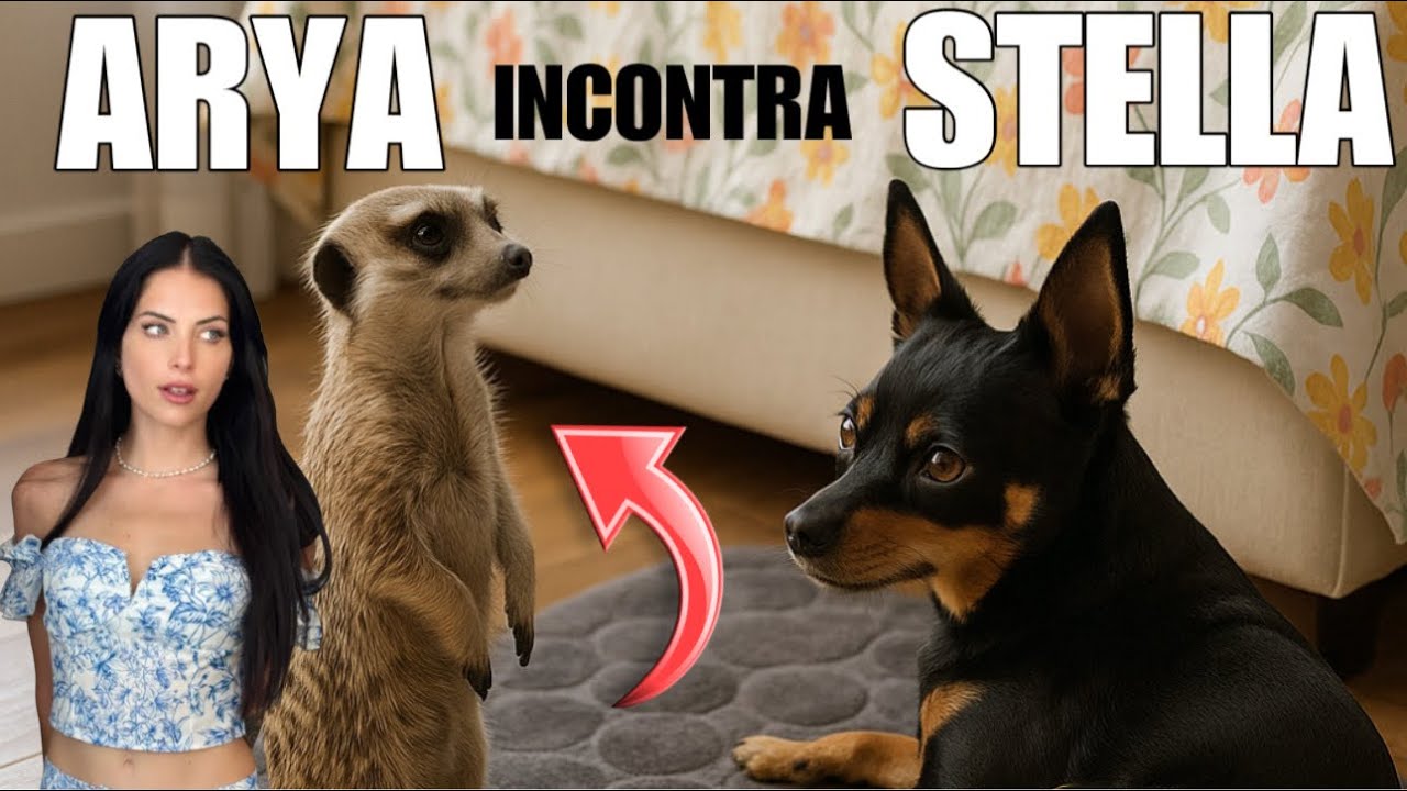 PRIMO INCONTRO tra il mio SURICATO e il mio CANE! 🐾😍
