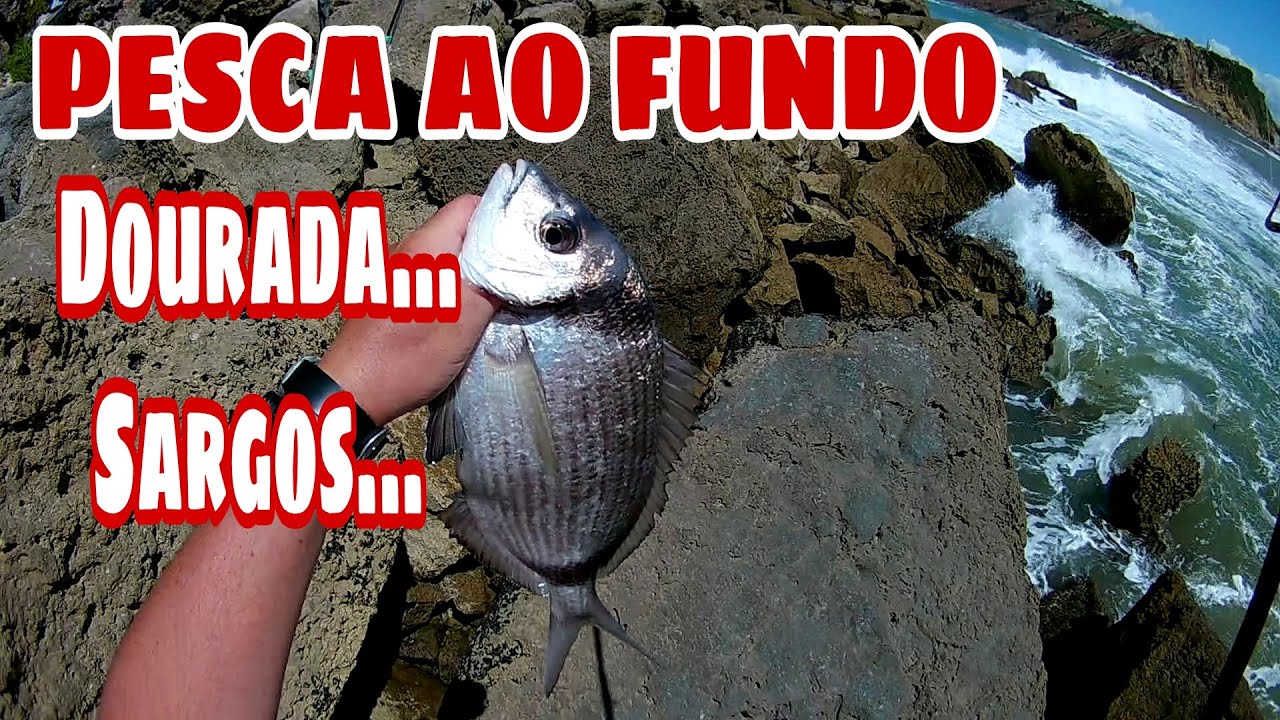 PESCA AO FUNDO... DOURADA...SARGOS...