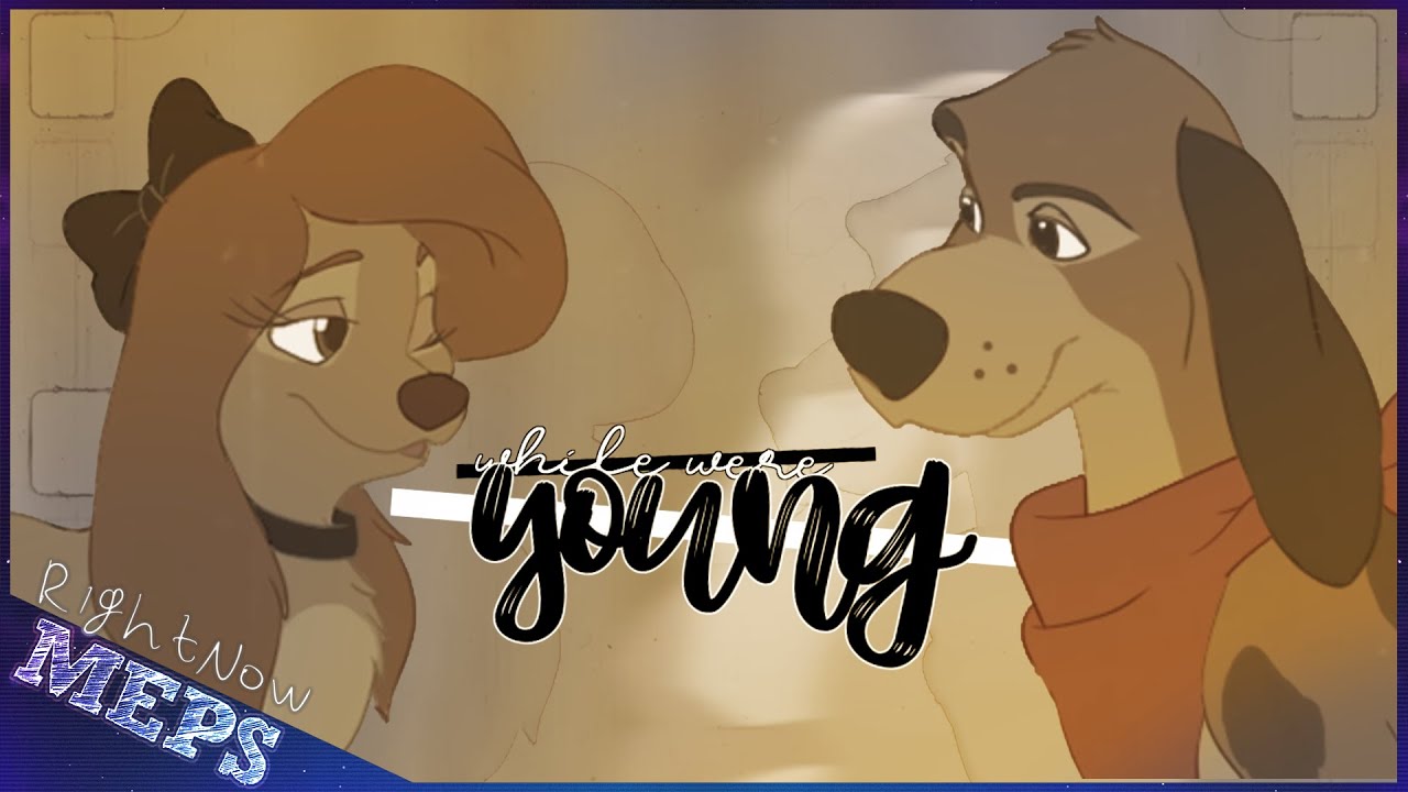 「RN ᴹᴱᴾˢ」 While We're Young ➸ FULL ANIMASH MEP