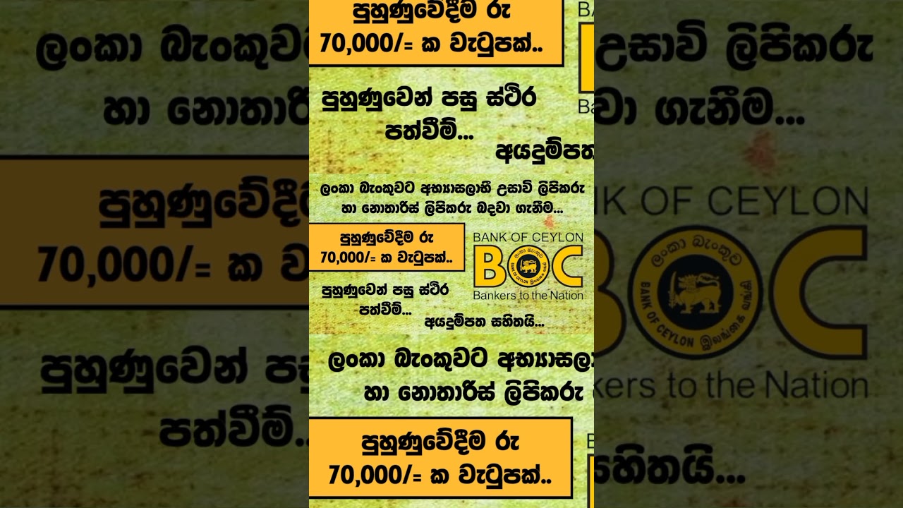 BOC Trainee Jobs | Shan Creation | Bank Jobs | Bank of Ceylon | Government Bank Jobs