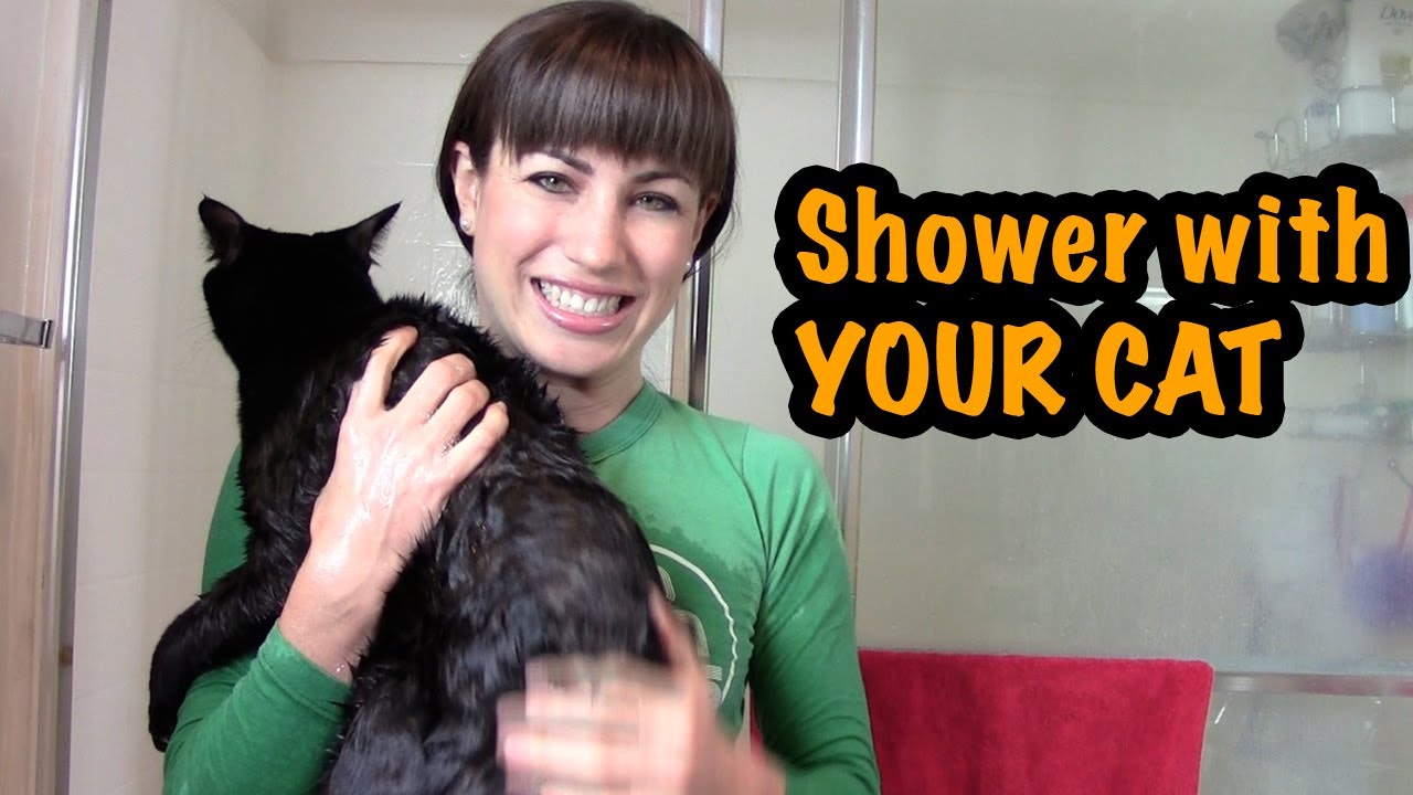 How to Shower with Your Cat