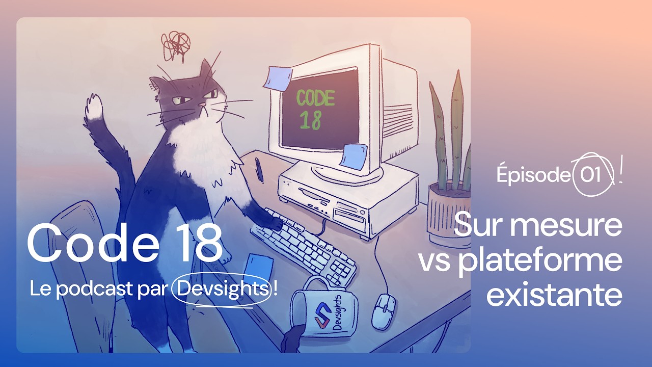 01 - Sur mesure vs Platforme existante souvent payante