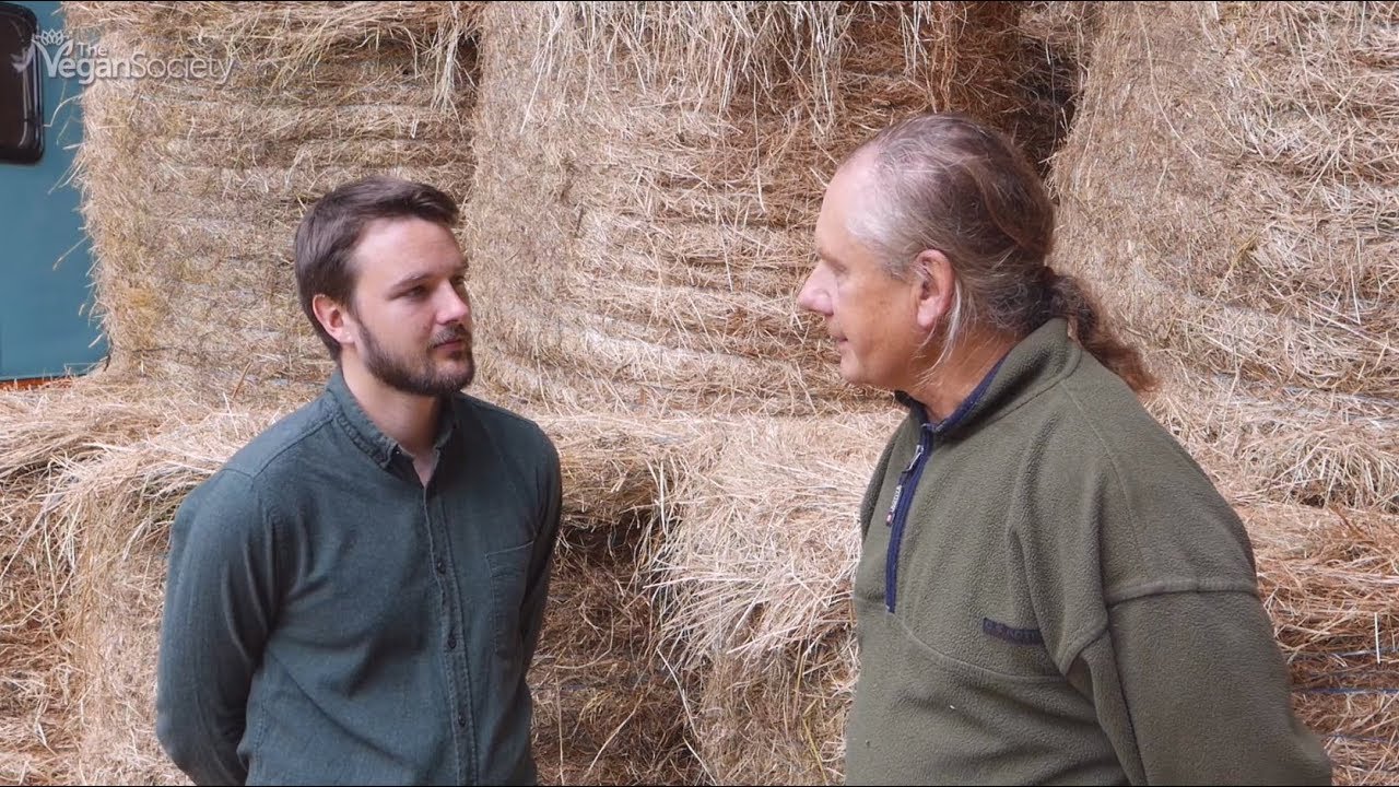 A farmer’s journey away from beef farming and towards vegan farming.