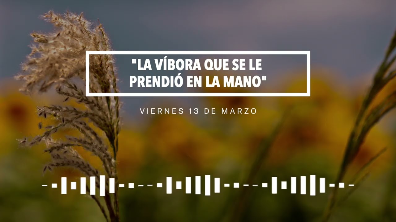 Viernes 13 de marzo: 