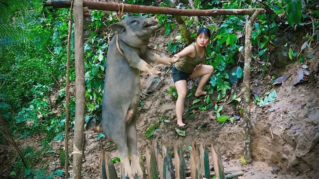 Detect traces of wild boars, immediately set traps to catch them, build new shelters, survival alone