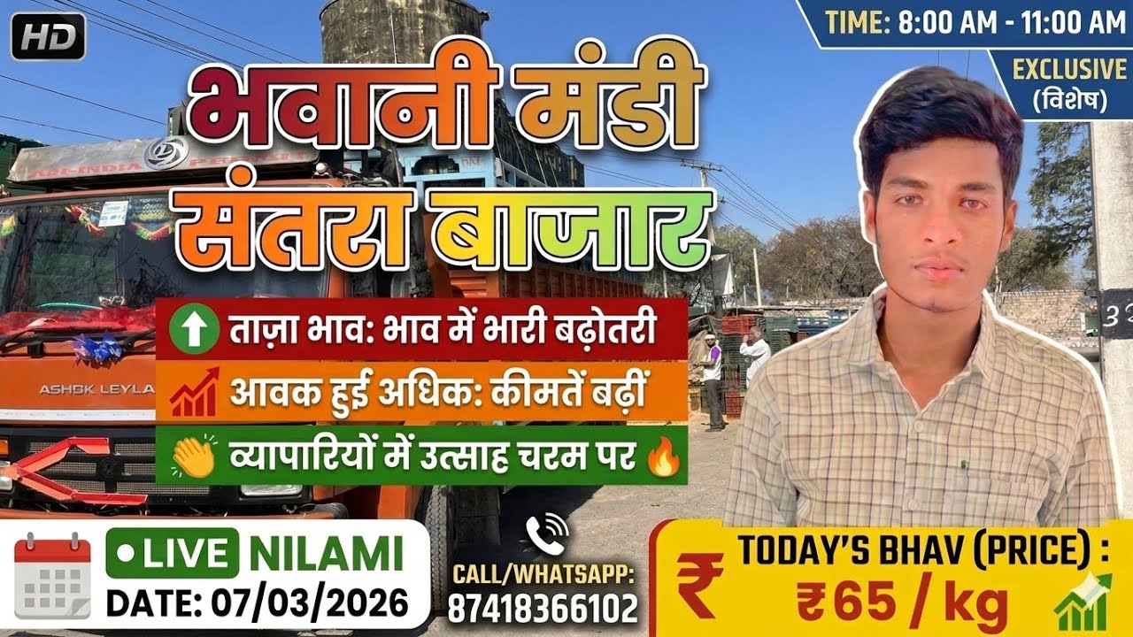 07/03/2026 Bhawani Mandi Santra Bajar: Ekadam Teji! 🚀 Jo Santra 50₹-60₹ kg | Orange Rate #santra 