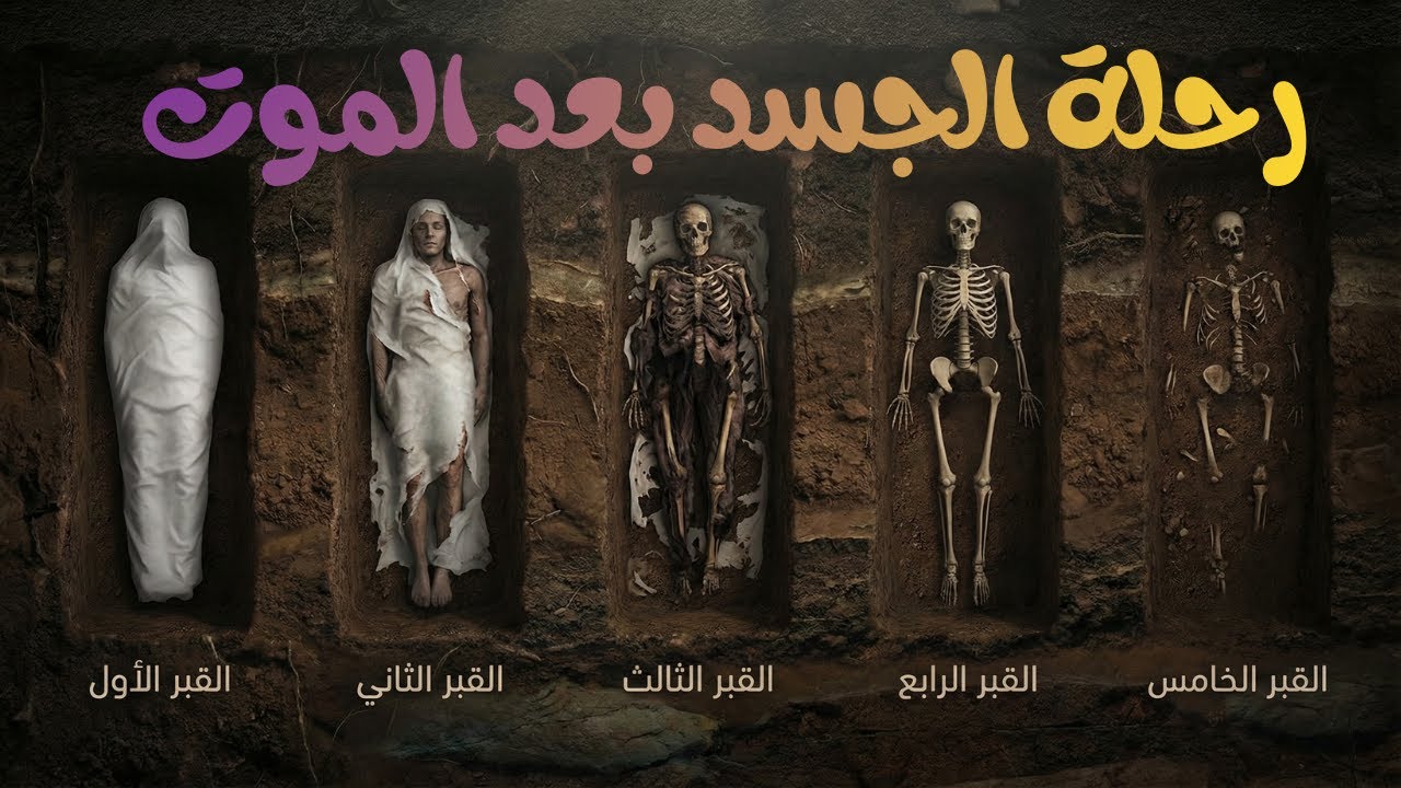 5 مراحل يمرّ بها جسدك في القبر… حقيقة لا يتحدث عنها أحد