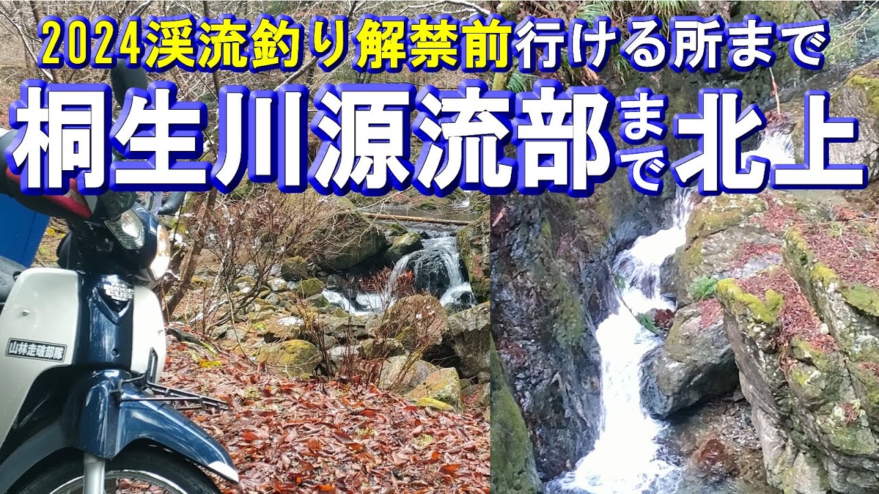【2024渓流釣り解禁前】桐生川源流部まで北上(撮影日2月24日)