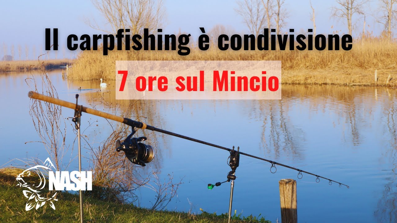 IL CARPFISHING È CONDIVISIONE- 7 ore sul Mincio