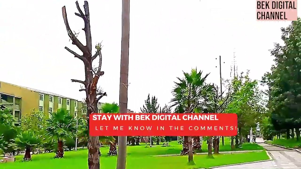 Addis Ababa Science and Technology University (AASTU).