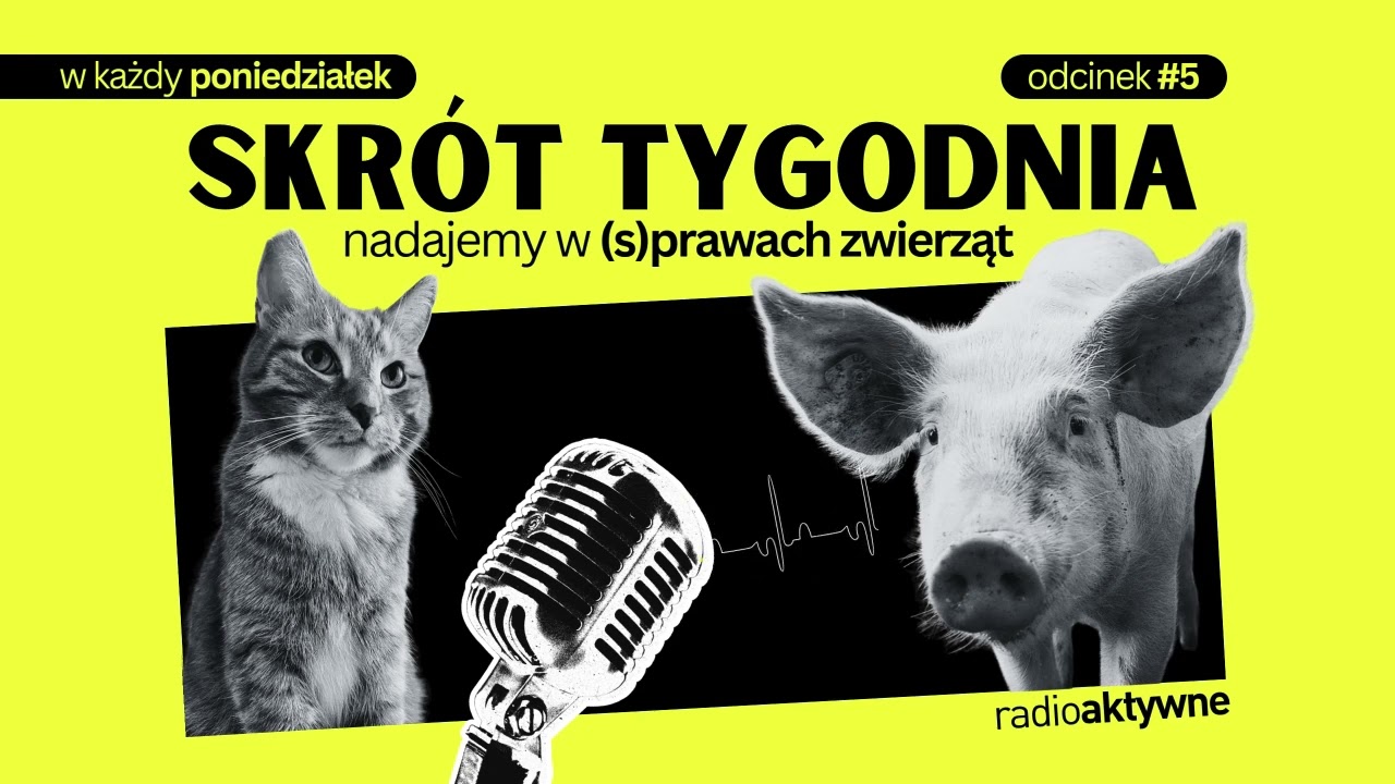 radioAKTYWNE | Skrót tygodnia #5 (02.03.2026)