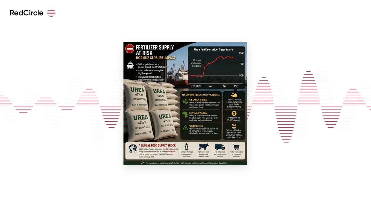Tea Biz - Fertilizer Crisis | Tea Day | India Auction Mandate