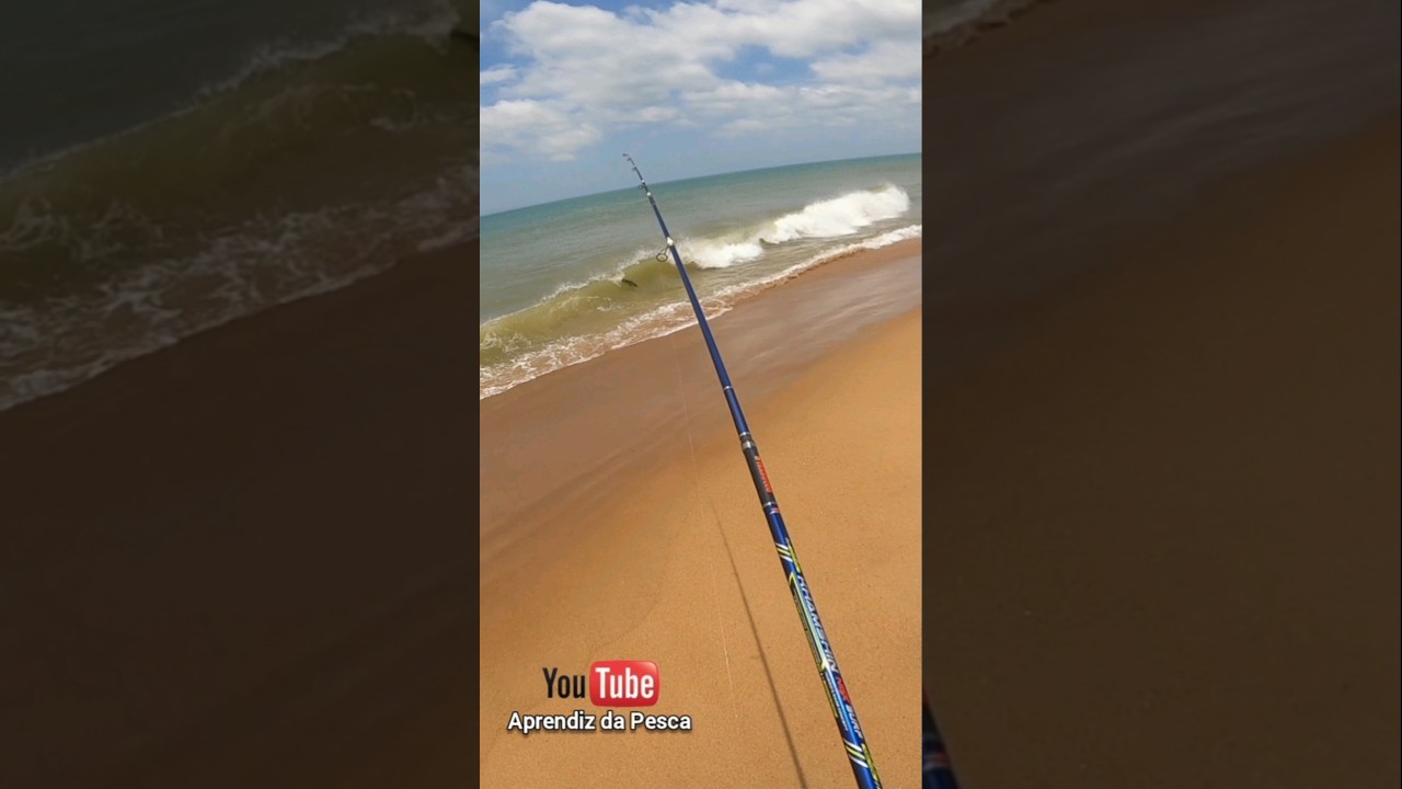 Peixe gigante na pescaria de praia