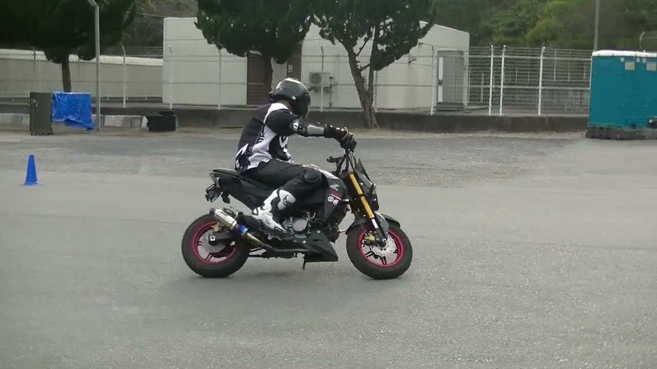 20241026にゃんテール こういち ウミガメGP