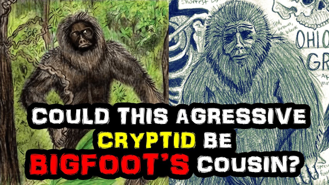 Legend of the Ohio Grassman: Could This Aggressive Cryptid Be Bigfoot's Cousin?