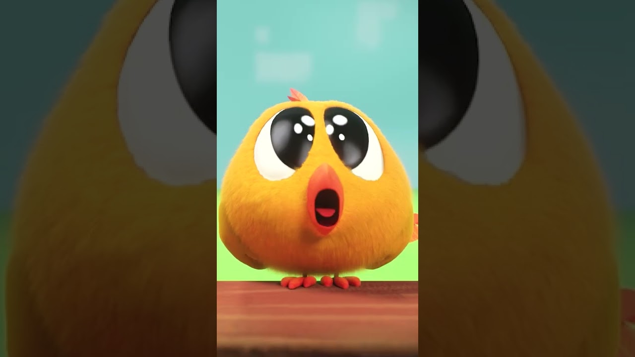 SHORTS CHICKY | WOW | Where's Chicky 
