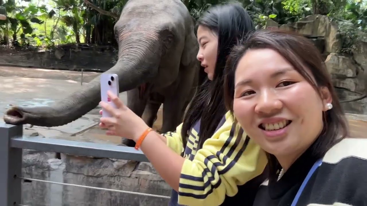 日本生活vlog/去深圳野生動物園玩、大家和黑人朋友一起合照、老二看馬戲團開心的鼓掌