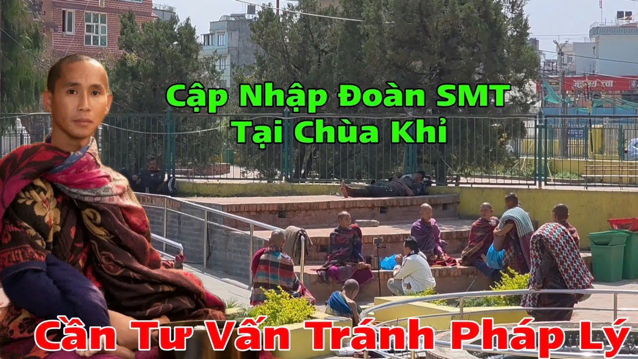 Cập nhật thông tin đoàn sư Minh Tuệ cần tư vấn tránh pháp lý