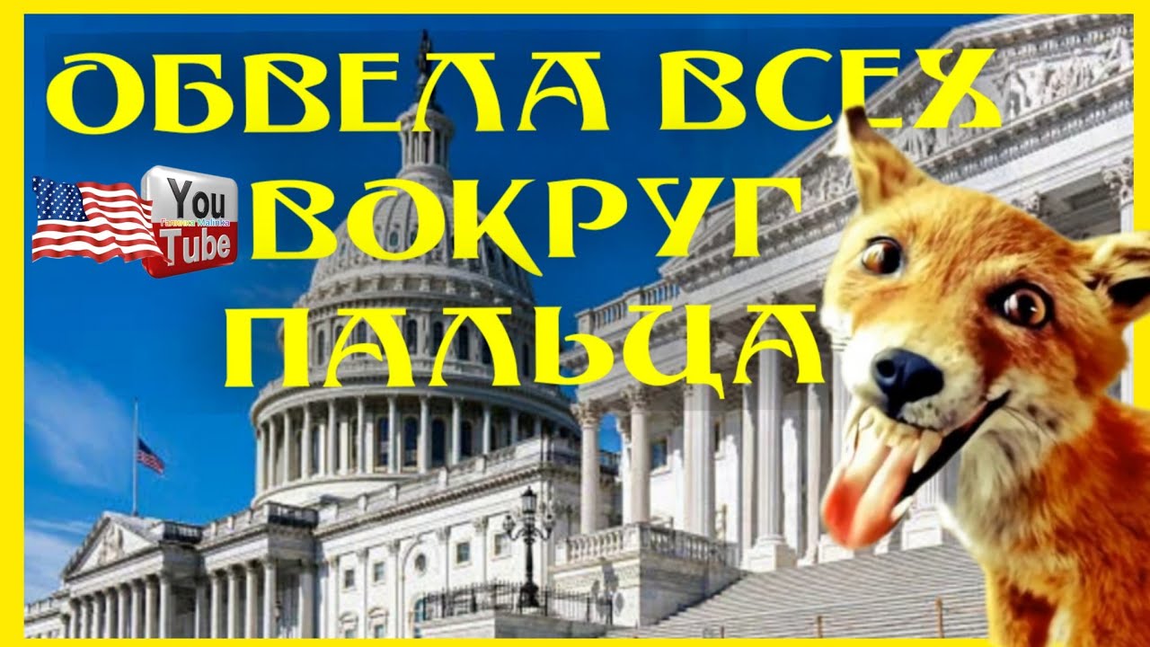 Лиса в Америке /Обвела всех вокруг пальца/Обзор /Big Big Family /Funny 4 /Будни многодеточки /