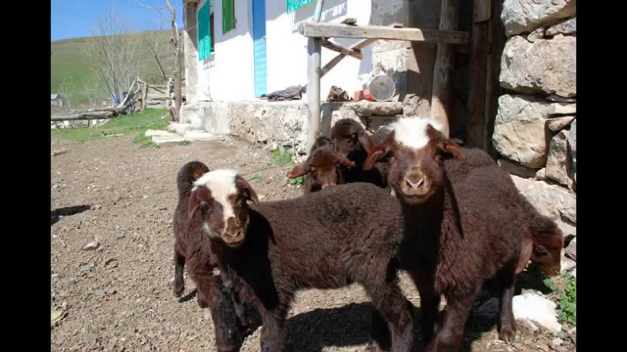 KARAYAPRAK KÖYÜ MAKRO BAKIŞ