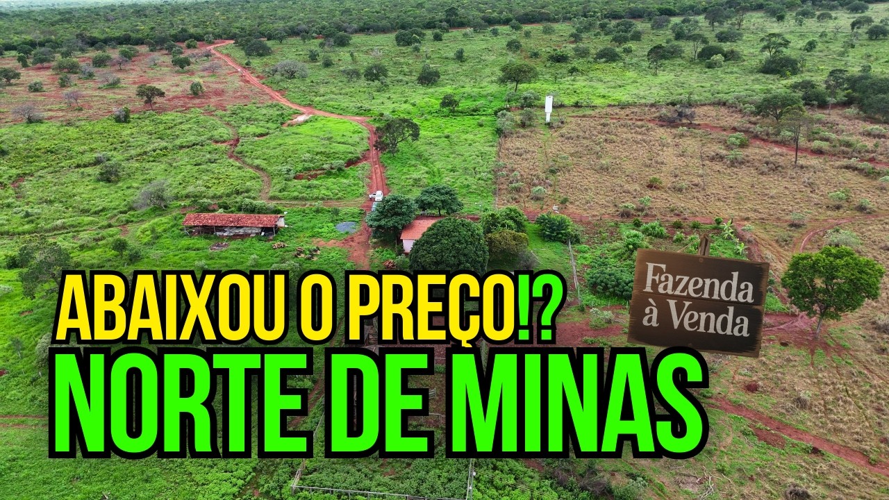 A MELHOR FAZENDA À VENDA NO NORTE DE MINAS PARA CAFÉ E CACAU