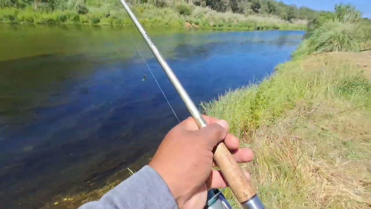 Rio tercero buscamos un dorado 