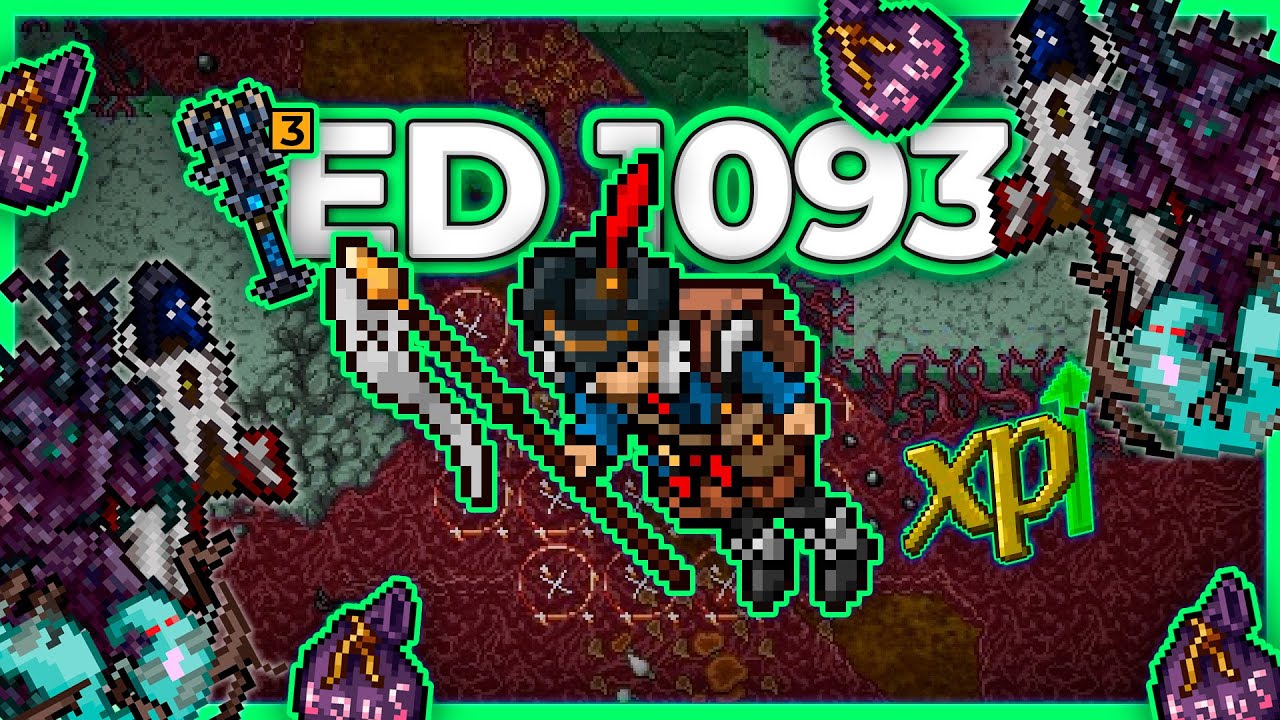 ED 1093 Hunt x4 Rotten Wasteland 10.7kk/h + 64.3kk!!! Profit (Bag) - Tibia Hunt [13.21] #tibia