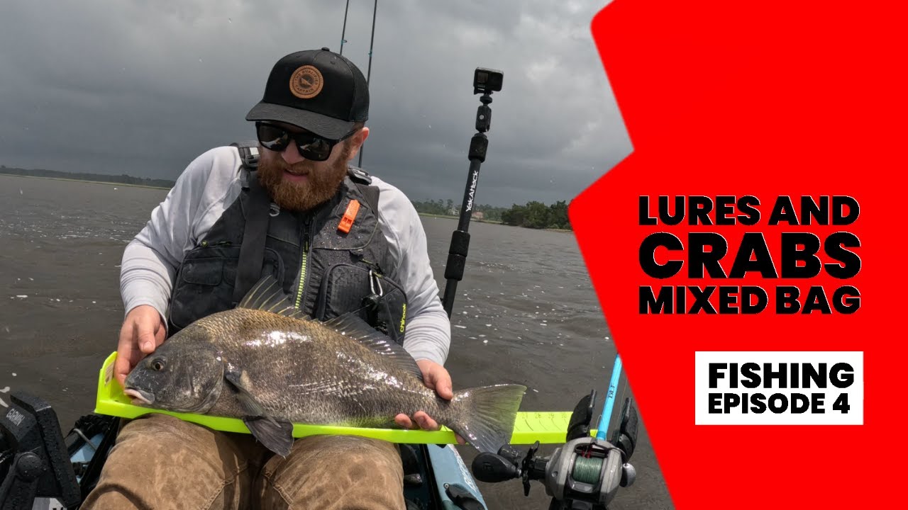 Lures and Crabs for an Inshore Mixed Bag! Black drum and sheepshead