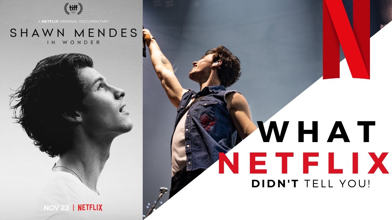 Shawn Mendes In Wonder Netflix Documentary & Concert - What we didn't know and learned