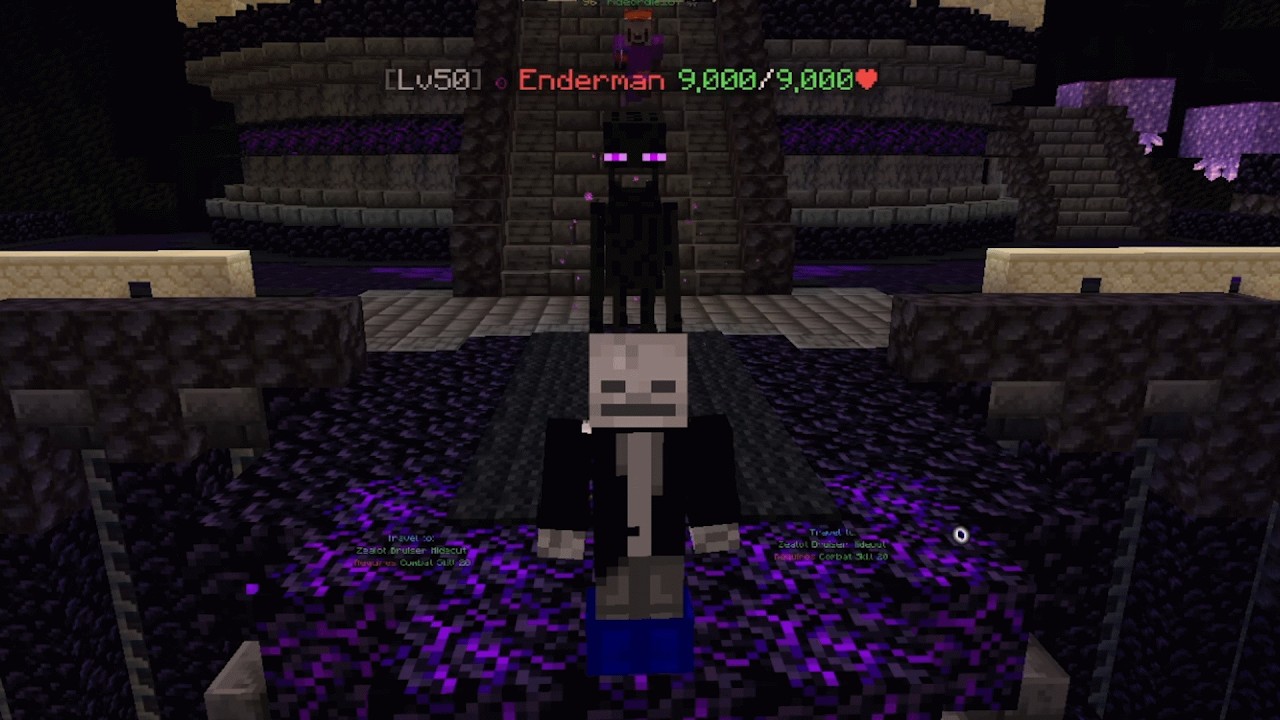 How I Reached The End in Skyblock