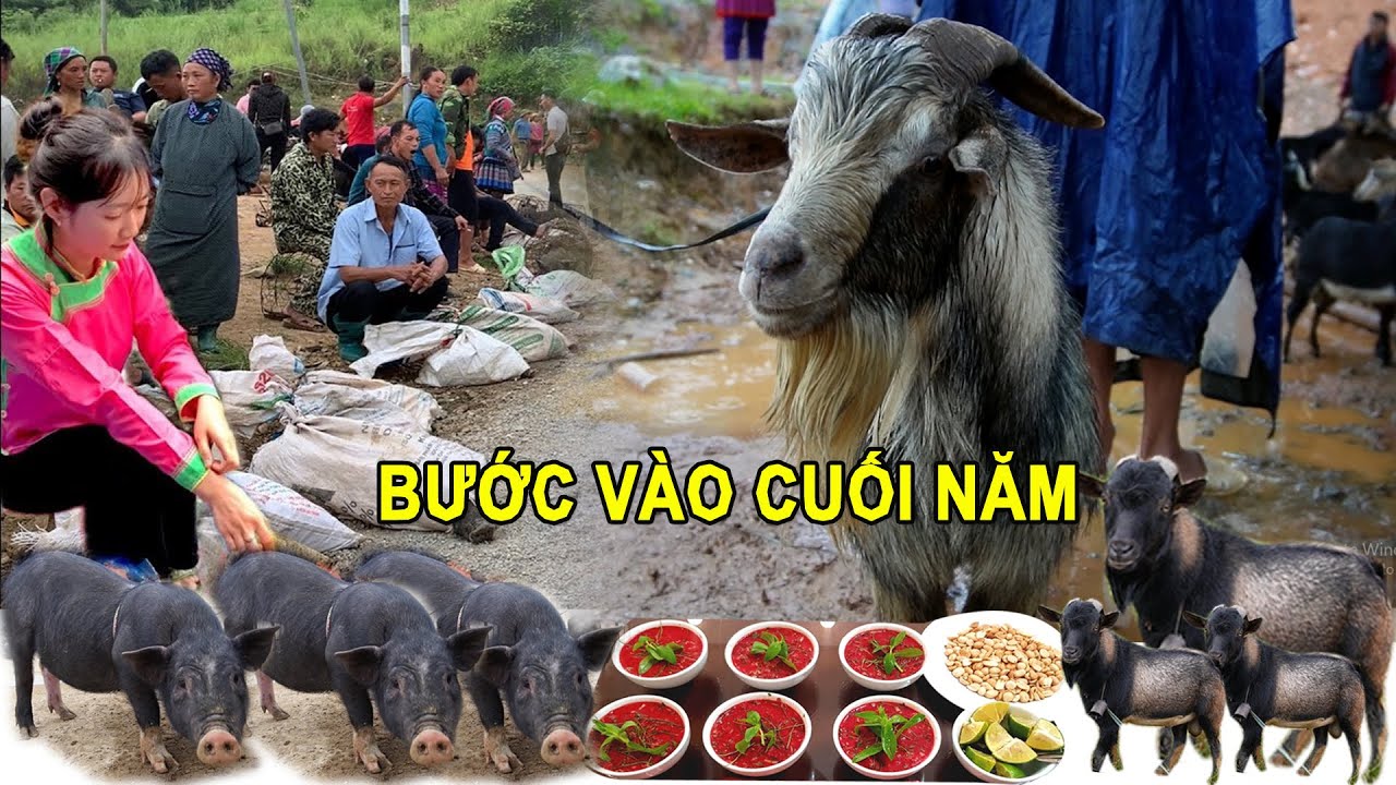 Bước v&agrave;o chợ phi&ecirc;n t&acirc;y bắc cuối năm &ndash; cốc ly đ&ocirc;ng nghịt d&ecirc; n&uacute;i, lợn cắp n&aacute;ch & m&oacute;n tiết canh lạ