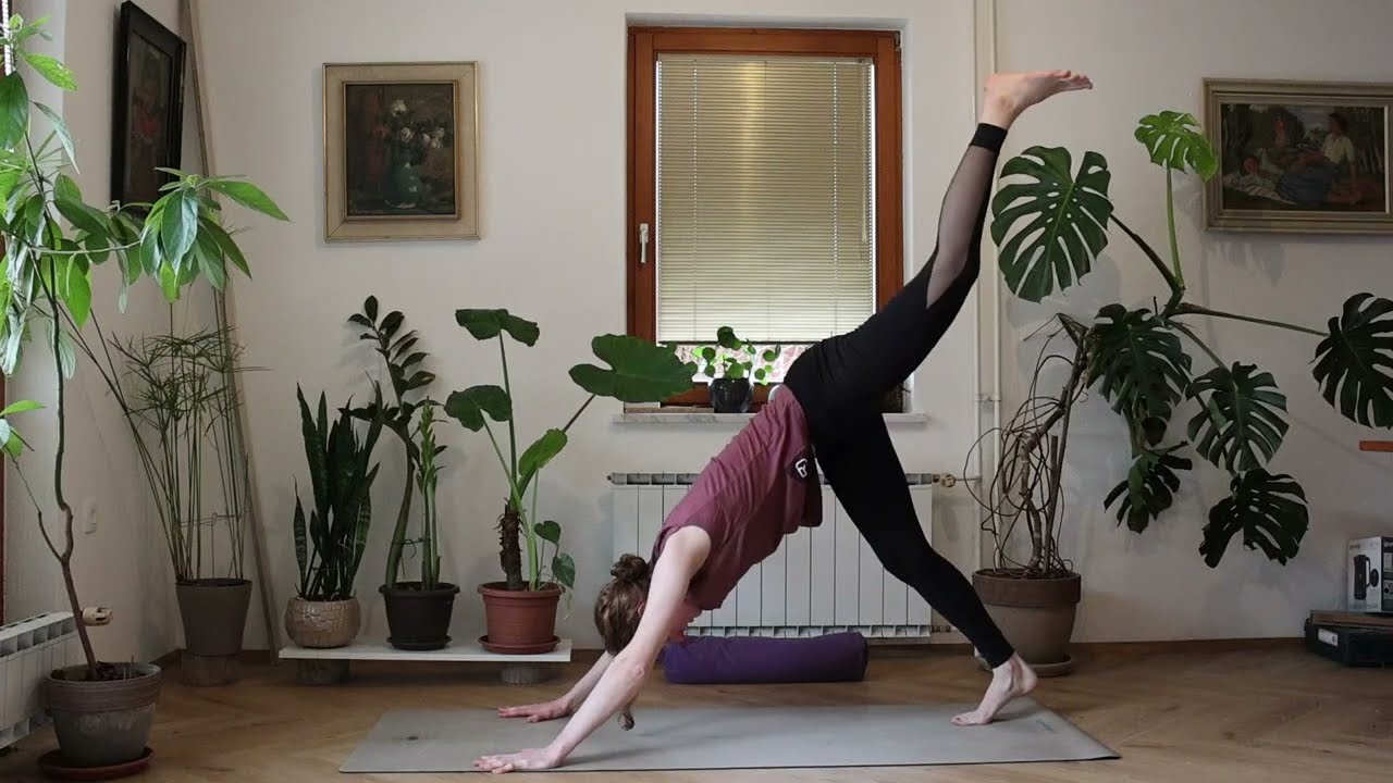 POZDRAV SONCU B: SURYA NAMASKAR B