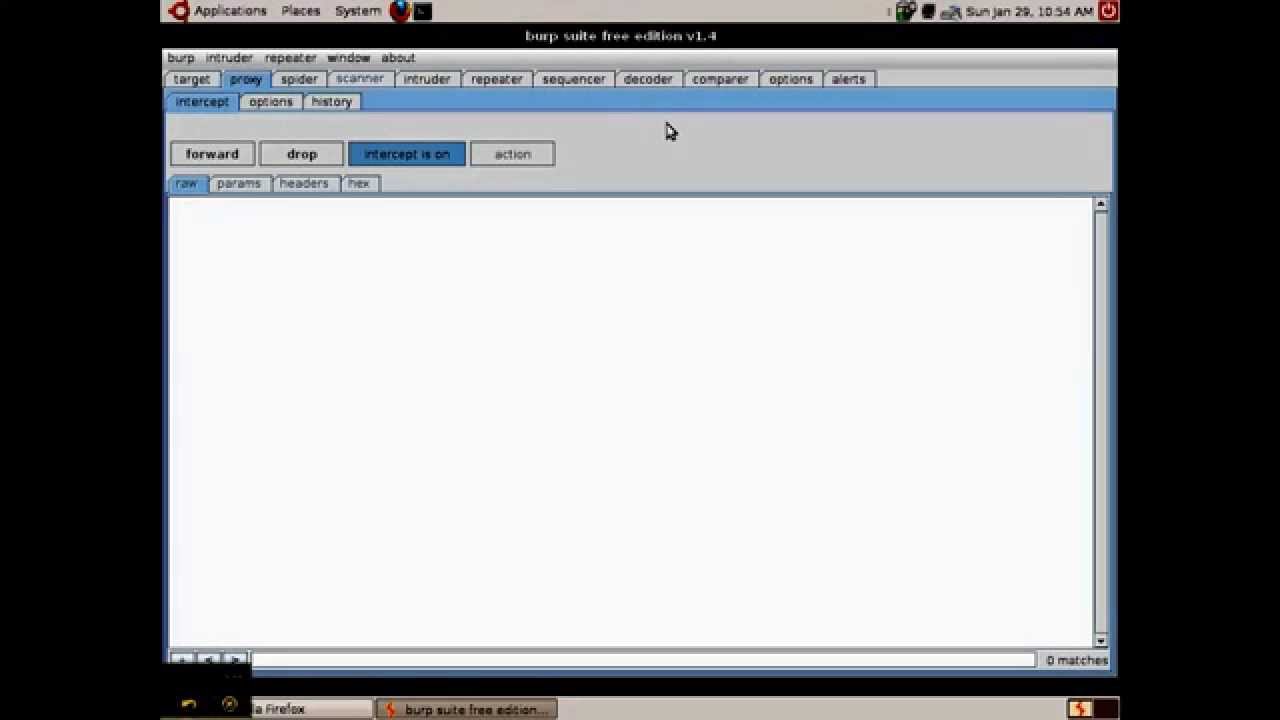 How to Analyze Session Token Randomness using Burp-Suite Sequencer