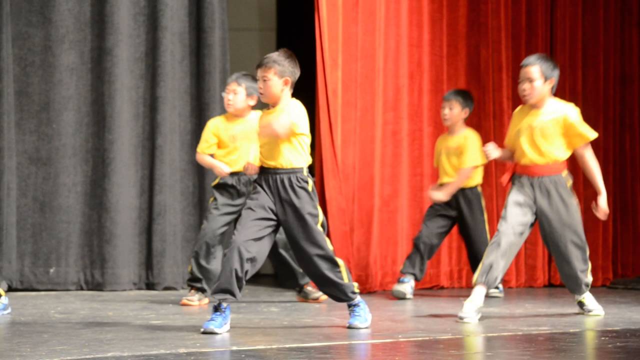Bohua Chinese Kung Fu End Year Performance 2016