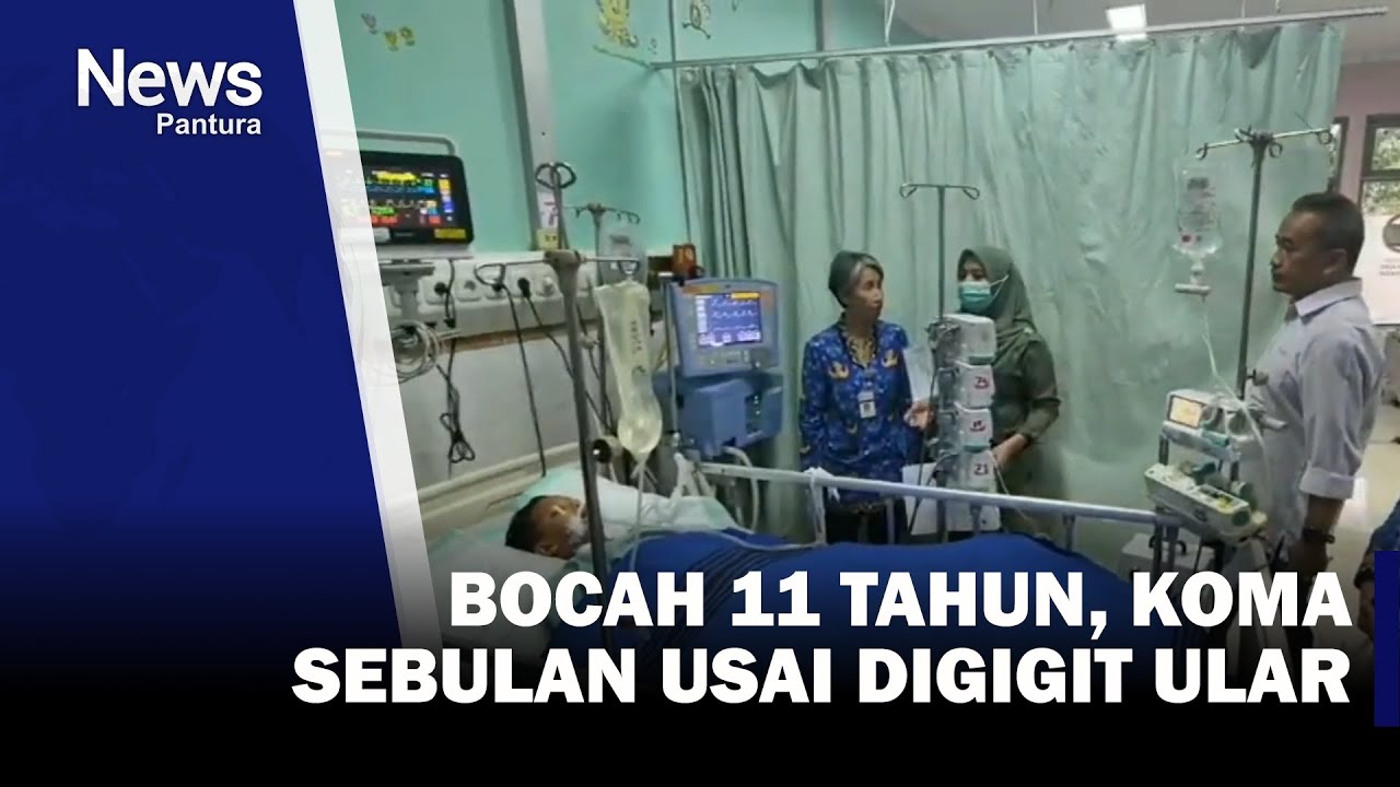 Satu Bulan Tak Sadar Akibat Digigit Ular, Bocah Pekalongan Dirawat di RSUP Dr Kariadi