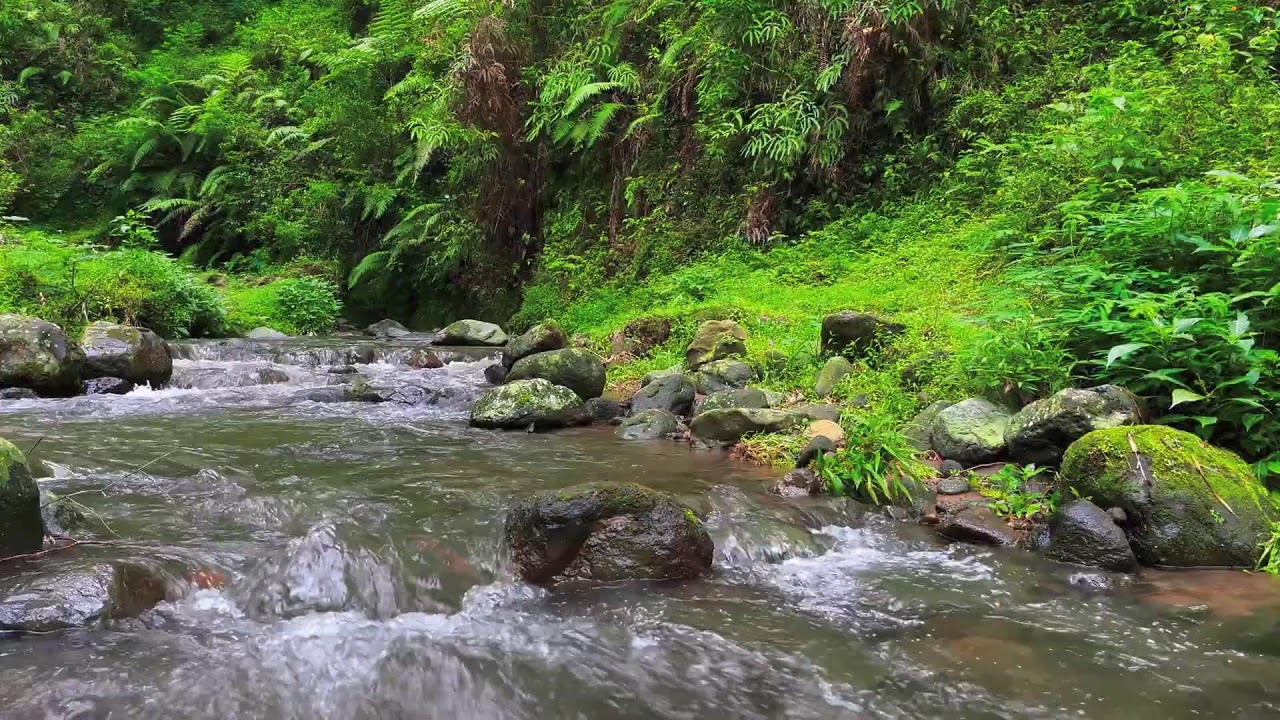 Shallow River Flow – Soothing Nature Sounds for Meditation