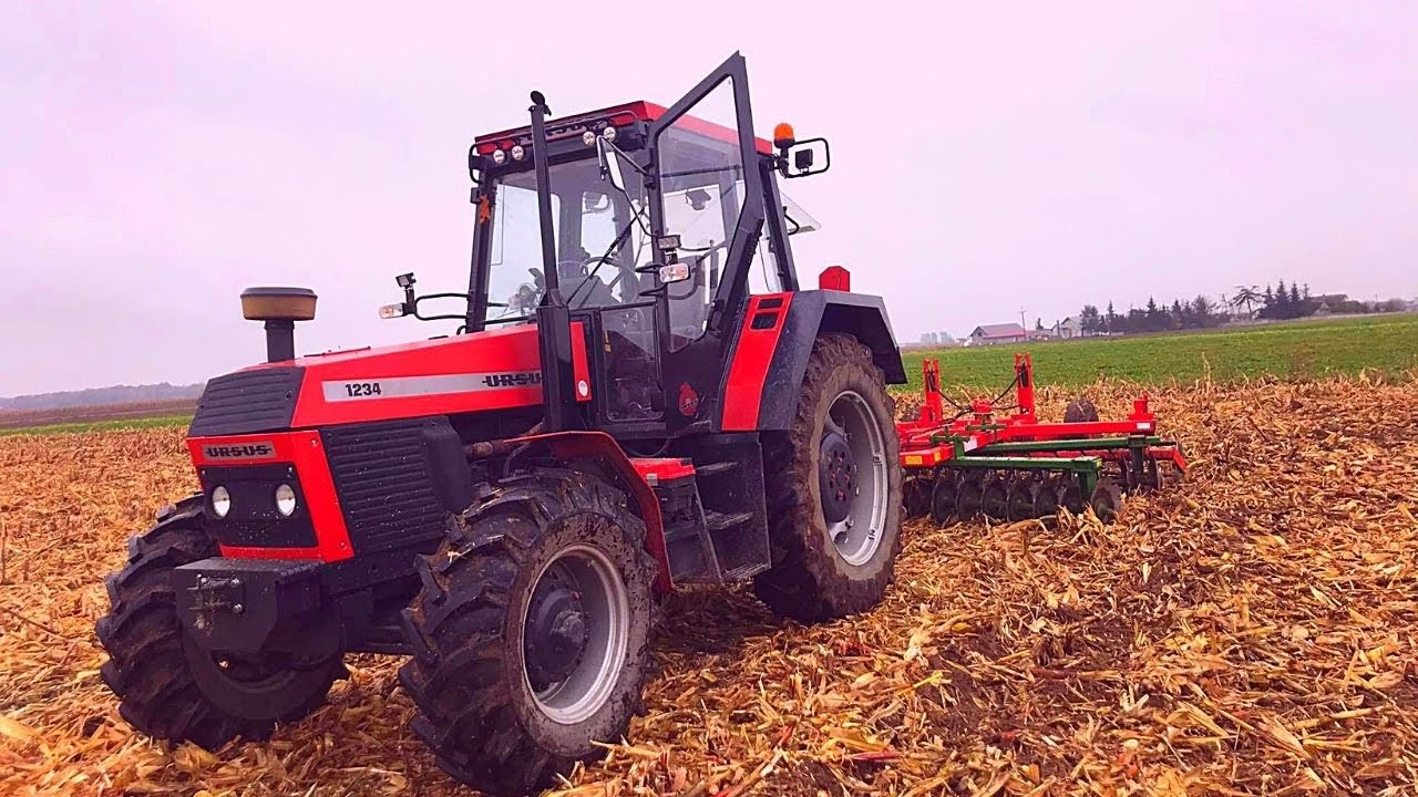 Uprawa po kukurydzy na 4 ciągniki!! MTZ 82 / Ursus 1234 / ZTS / Ursus 902