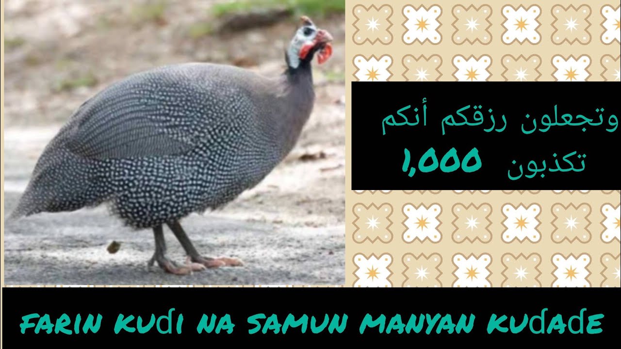 Farin kuɗi na samun manyan kuɗaɗe cikin yardar Allah 