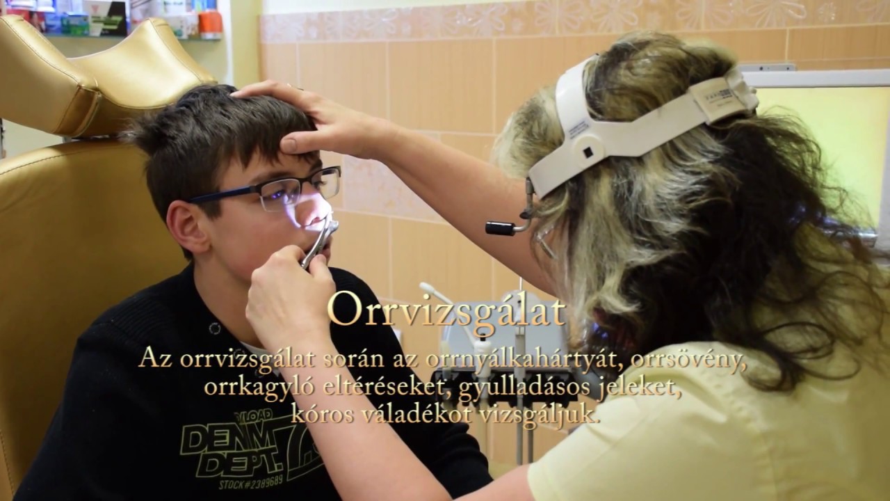 Fül-orr-gégészeti alapvizsgálat Dr Lehr Edina fül-orr-gégész magánrendelőjében